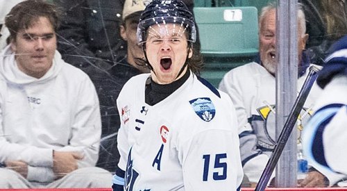Birnie scores winner late as Vees bounce back with crucial game 3 victory