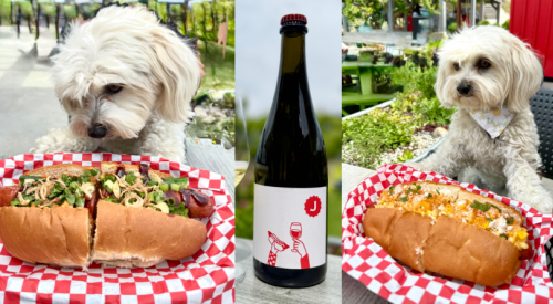 Wine column: Hot dog at the Hot Dog Lounge