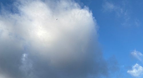 Kelowna weather: High of 14°C, chance of showers and wind gusts up to 70 km/h