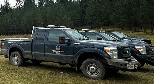 BC man attacked by grizzly bear while out with dogs on his own property