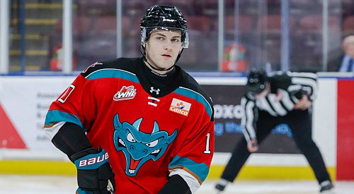 Highlights: Rockets clinch playoff spot despite overtime loss