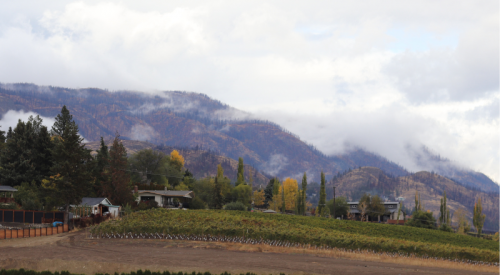 Kelowna weather: Damp start to November