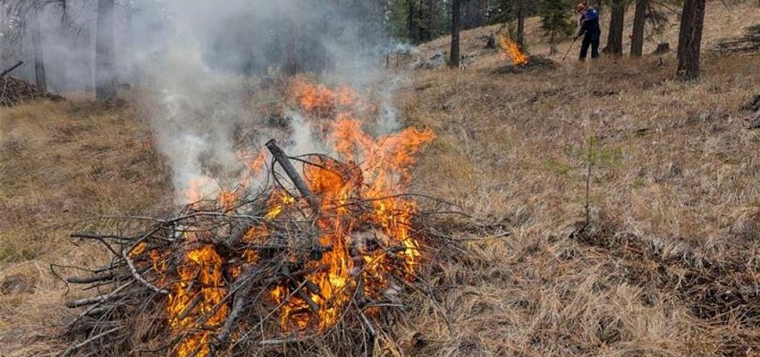 Dozens of debris piles in Lake Country to be burned as early as this week